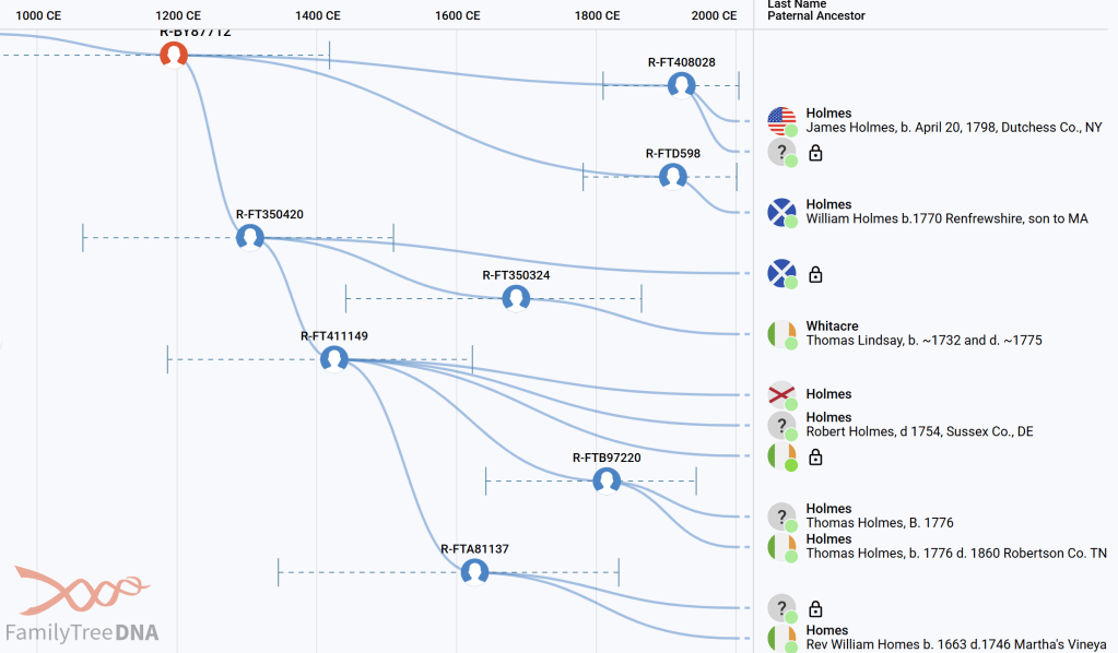 Holmes Group01 YDNA time tree